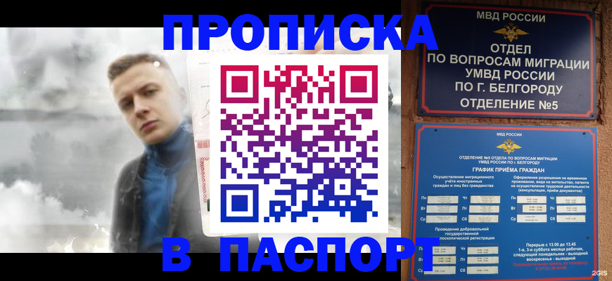 временная регистрация в Апатитах